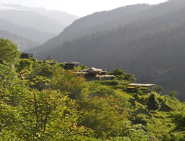 bhutan travel