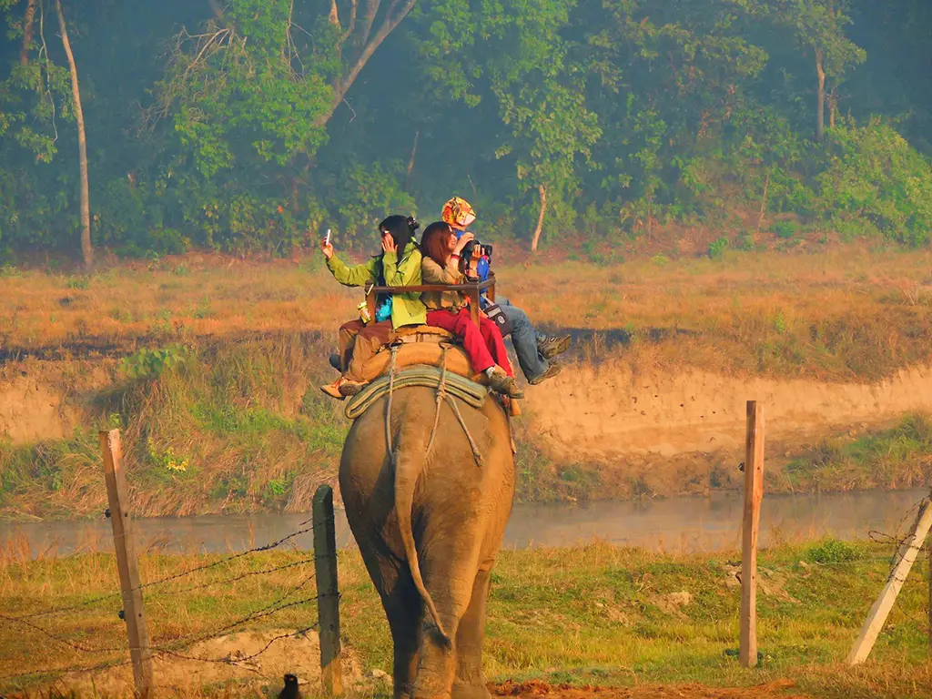 Royal Chitwan