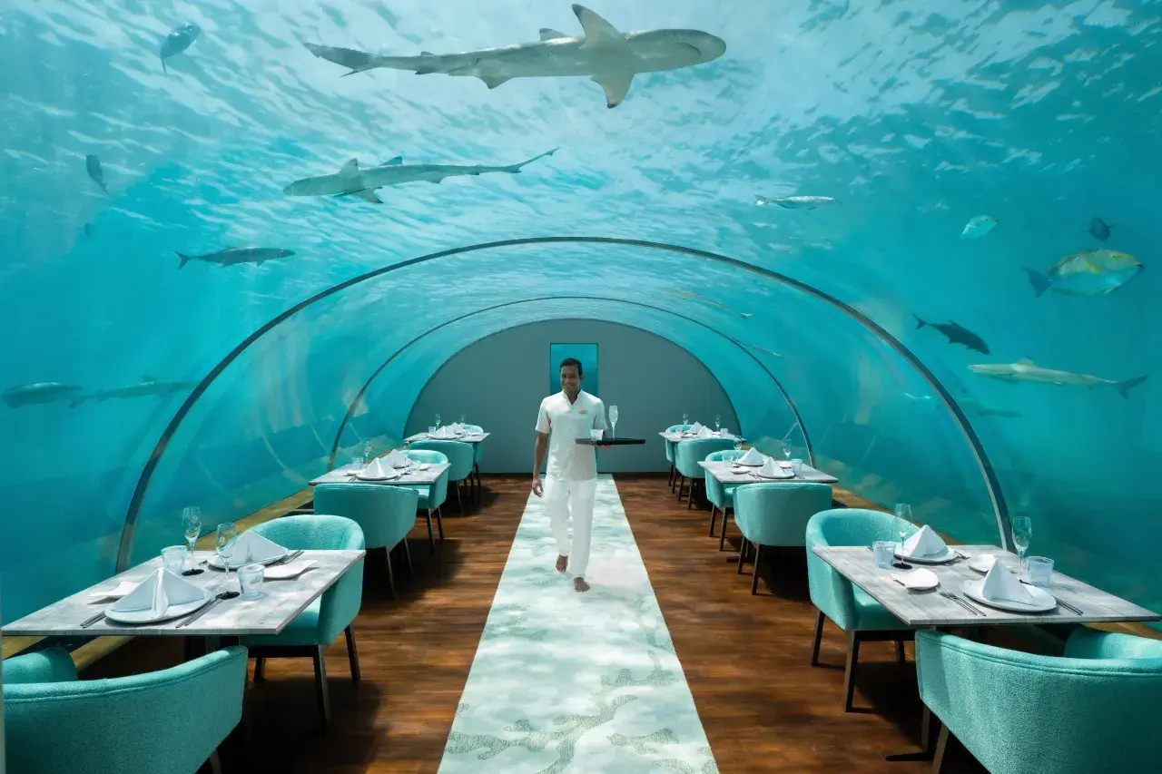 underwater dinning